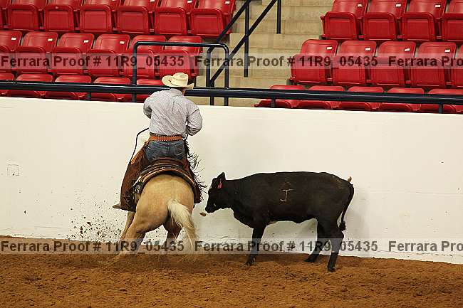 Proof 11r9_05435
