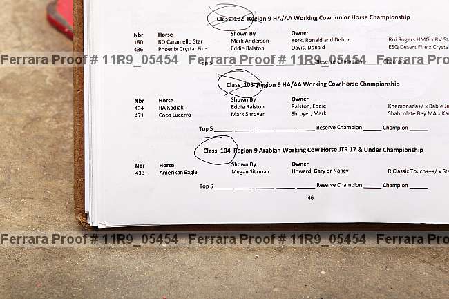 Proof 11r9_05454