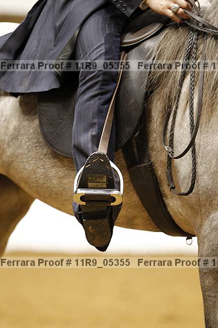 Proof 11r9_05355