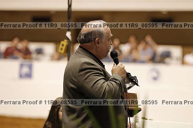 Proof 11r9_08595