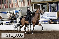 11stl_0086 proof