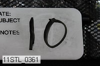 11stl_0361 proof