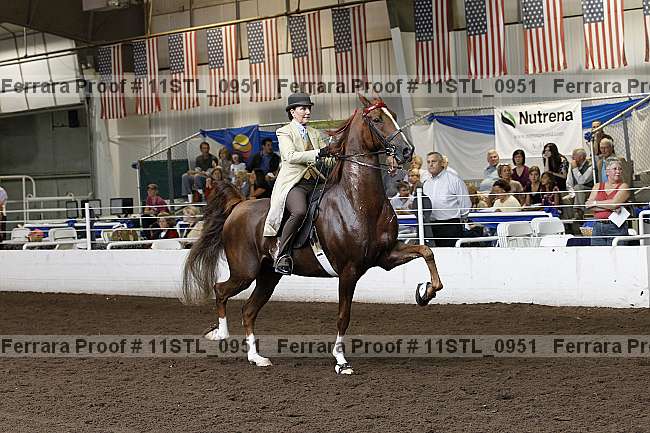 Proof 11stl_0951