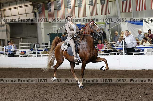 Proof 11stl_0953