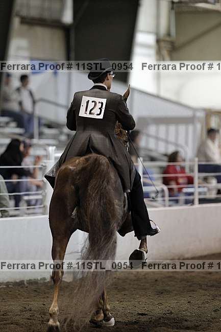 Proof 11stl_0954