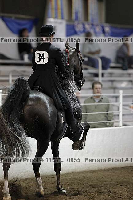 Proof 11stl_0955