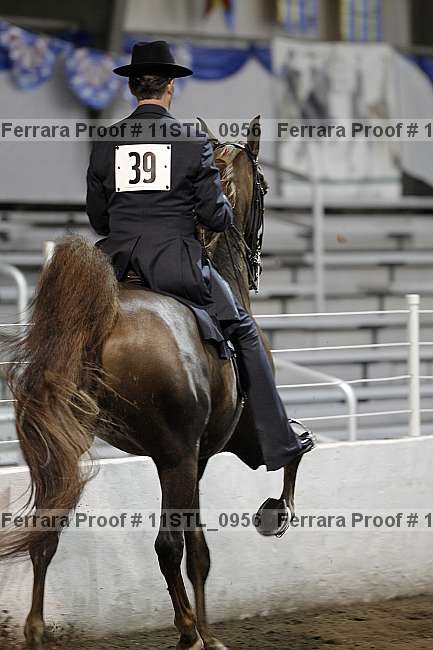 Proof 11stl_0956