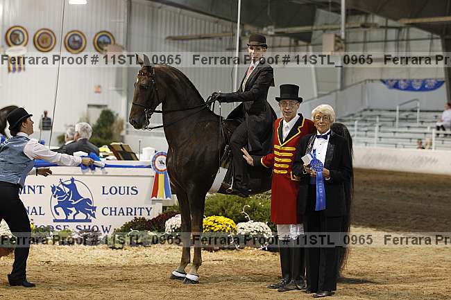 Proof 11stl_0965