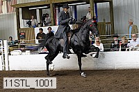 11stl_1001 proof