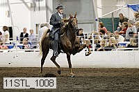 11stl_1008 proof