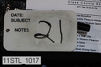 11stl_1017 proof