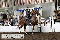 11stl_1112 proof