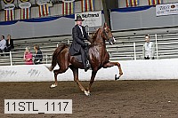 11stl_1117 proof