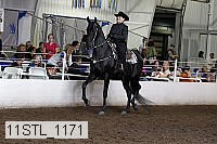 11stl_1171 proof