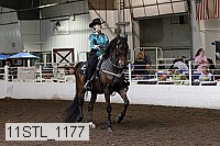 11stl_1177 proof