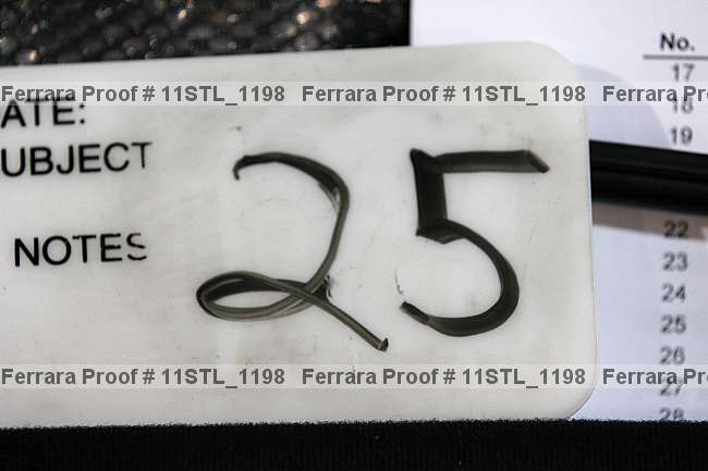 Proof 11stl_1198