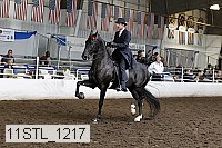 11stl_1217 proof