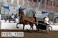 11stl_1318 proof