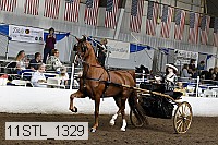 11stl_1329 proof