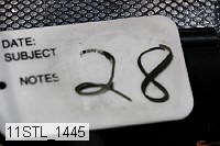 11stl_1445 proof