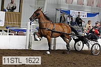11stl_1622 proof
