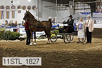 11stl_1827 proof