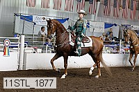 11stl_1877 proof
