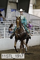 11stl_1917 proof
