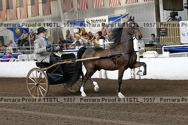 Proof 11stl_1957