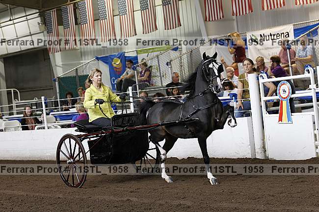 Proof 11stl_1958
