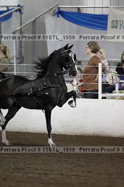 Proof 11stl_1959
