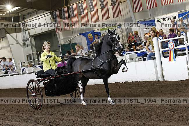 Proof 11stl_1964