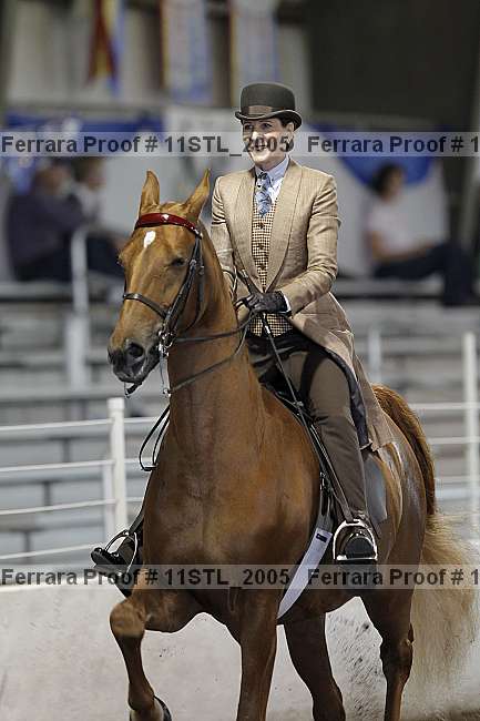 Proof 11stl_2005