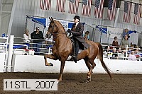 11stl_2007 proof