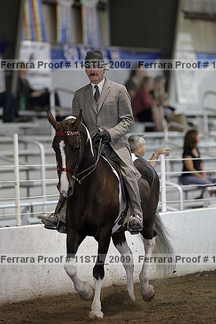 Proof 11stl_2009