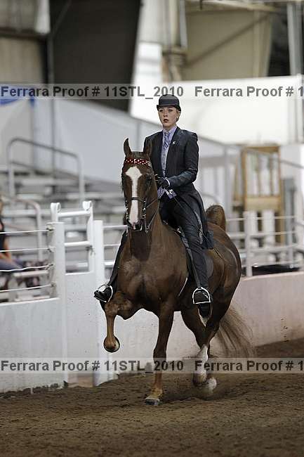 Proof 11stl_2010