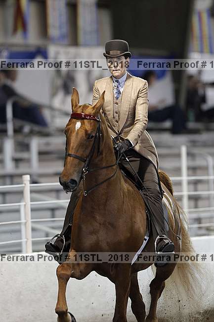 Proof 11stl_2018