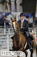 11stl_2050 proof