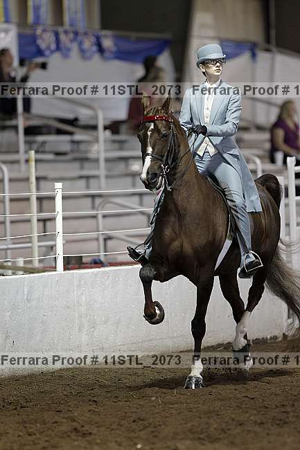 Proof 11stl_2073