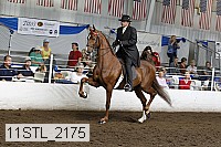 11stl_2175 proof
