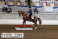 11stl_2291 proof