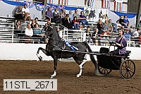 11stl_2671 proof