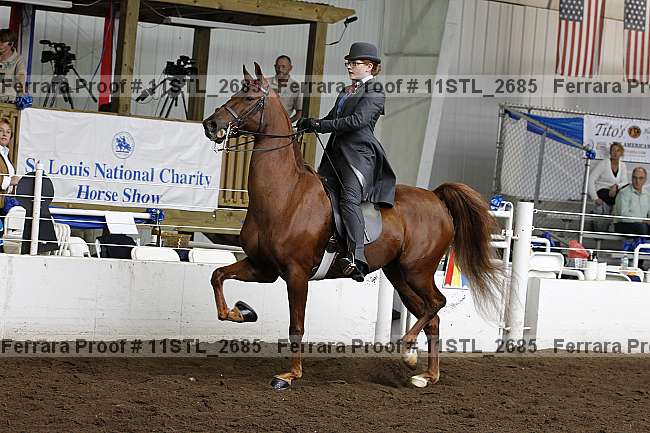 Proof 11stl_2685