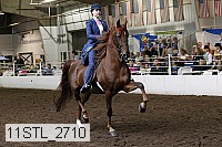 11stl_2710 proof