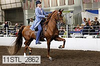 11stl_2862 proof