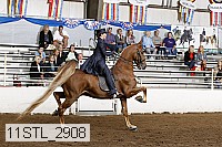 11stl_2908 proof
