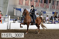 11stl_3007 proof