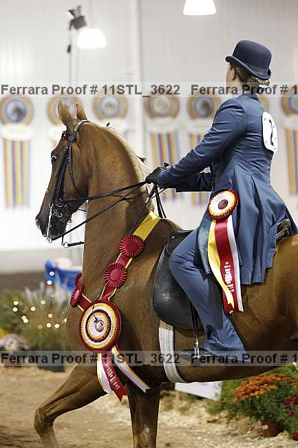 Proof 11stl_3622