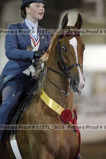 Proof 11stl_3655