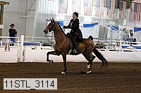 11stl_3114 proof